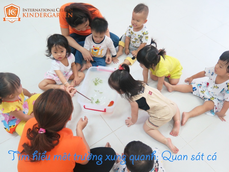 Chương trình tiếng Anh