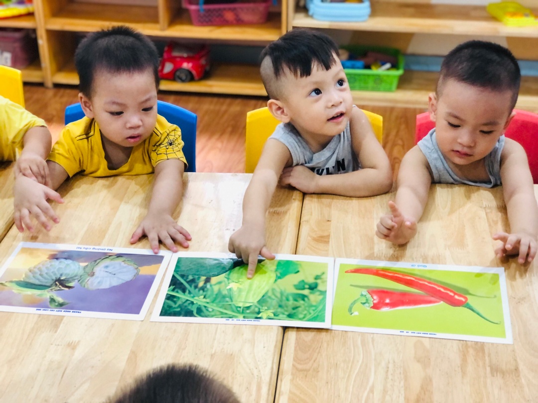 Chương trình giáo dục