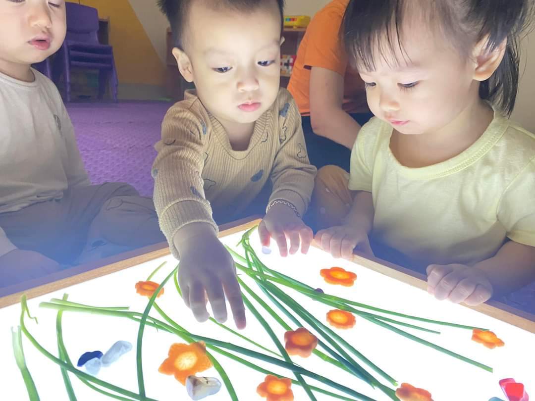 Chương trình tiếng Anh
