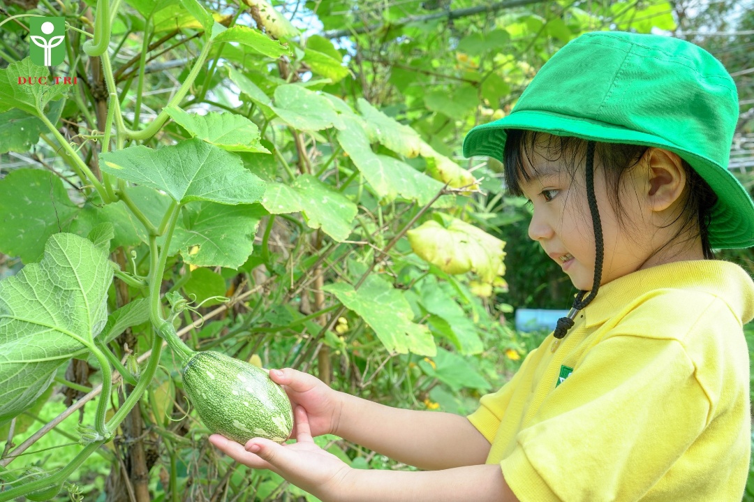 Chương trình tiếng Anh