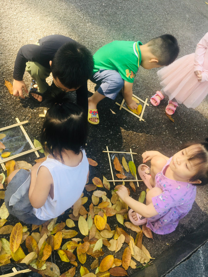 Chương trình tiếng Anh