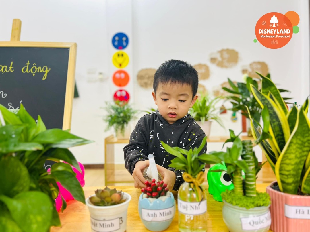 Chương trình tiếng Anh