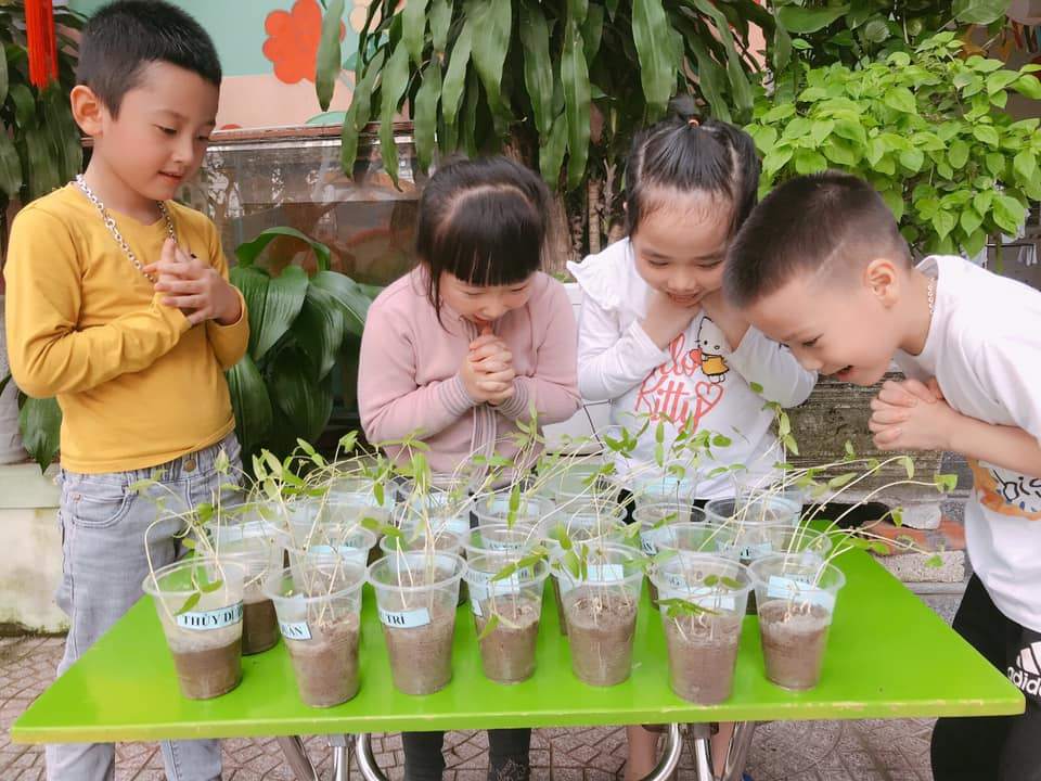 Chương trình tiếng Anh