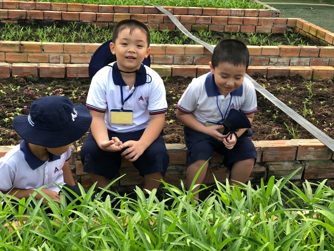 Chương trình tiếng Anh
