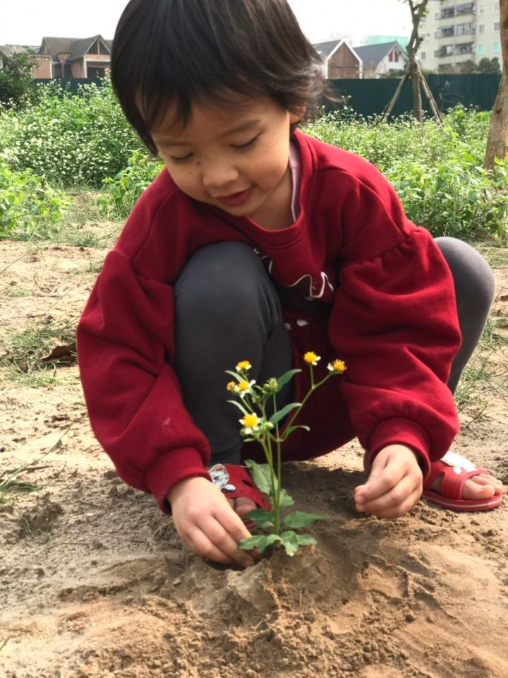Chương trình tiếng Anh