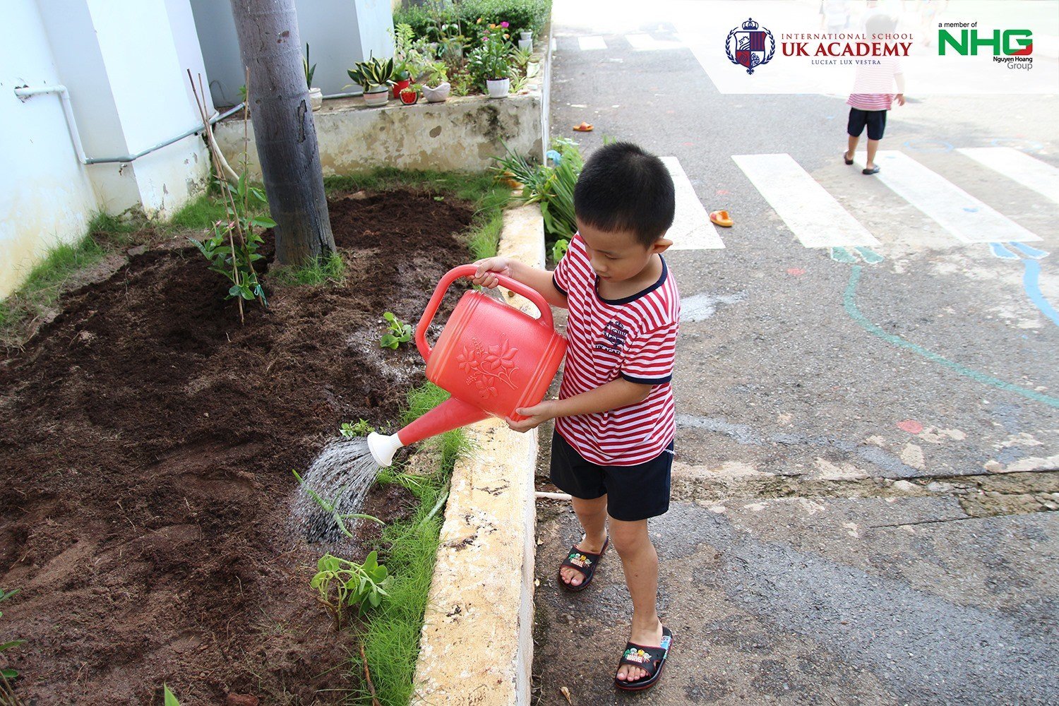 Chương trình tiếng Anh