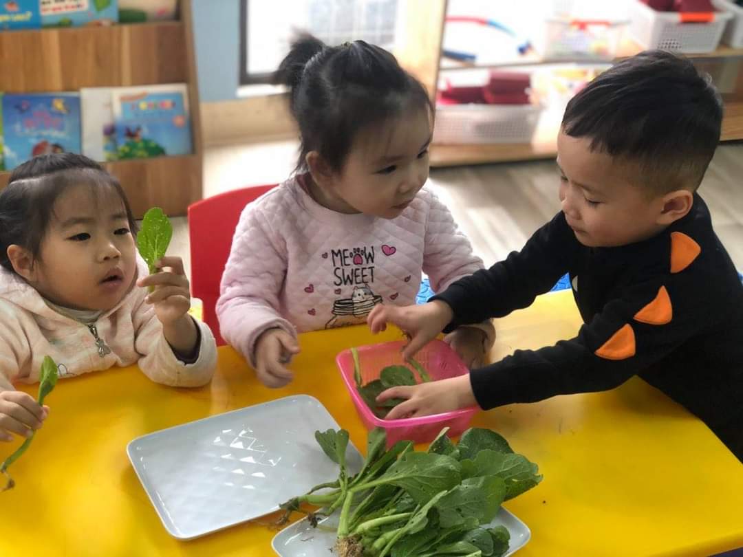 Chương trình tiếng Anh