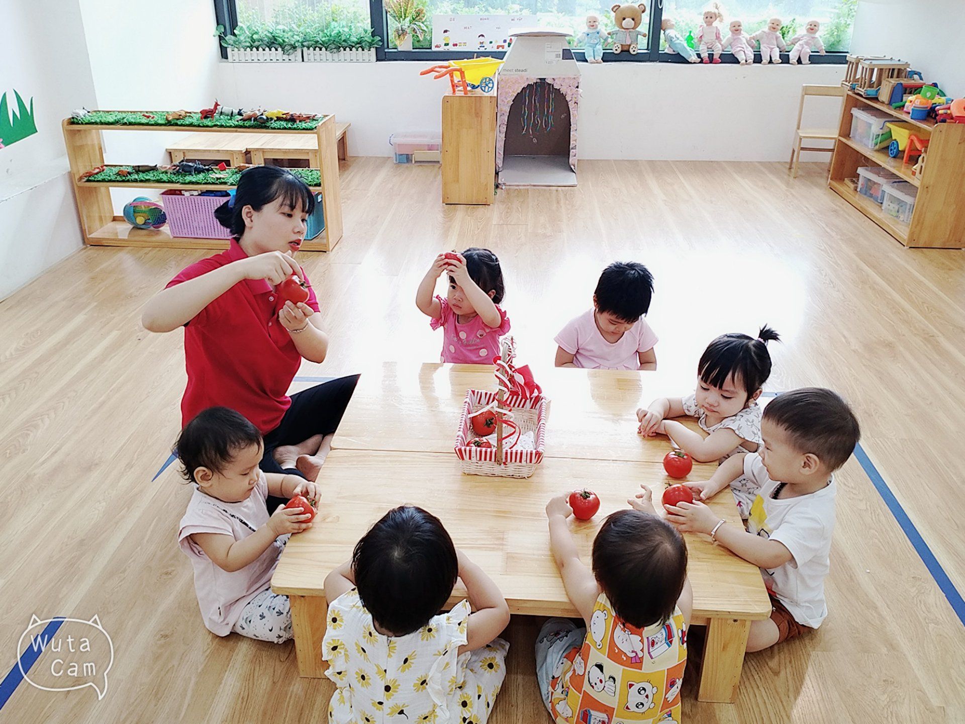 Chương trình tiếng Anh