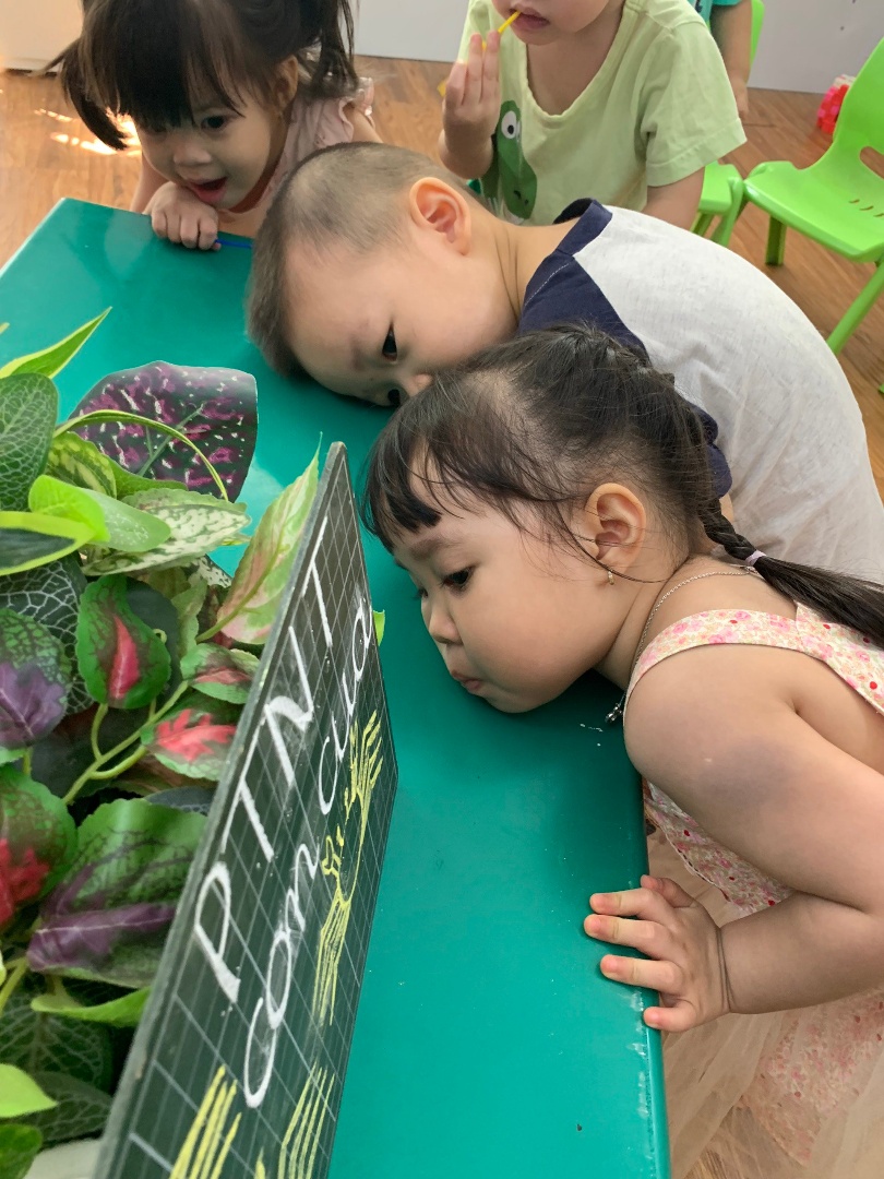 Chương trình tiếng Anh