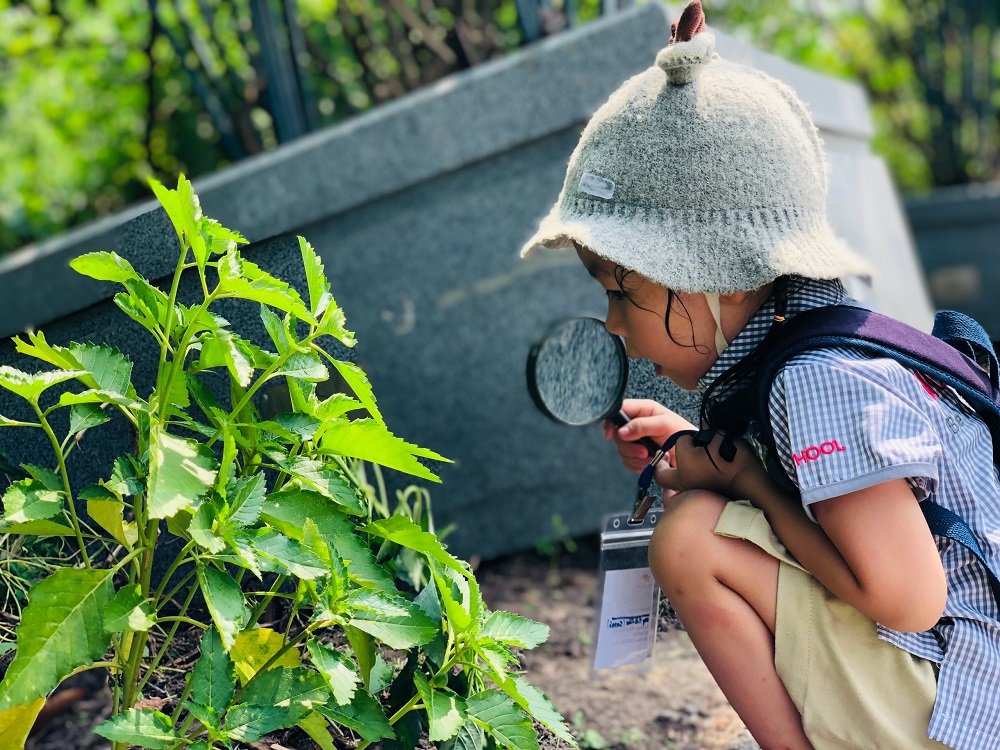 Chương trình tiếng Anh