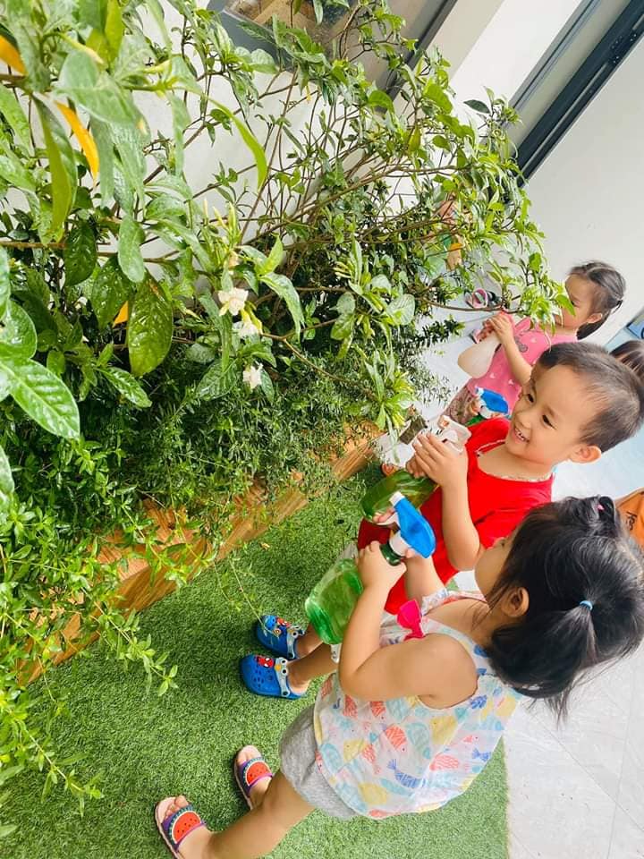 Chương trình tiếng Anh