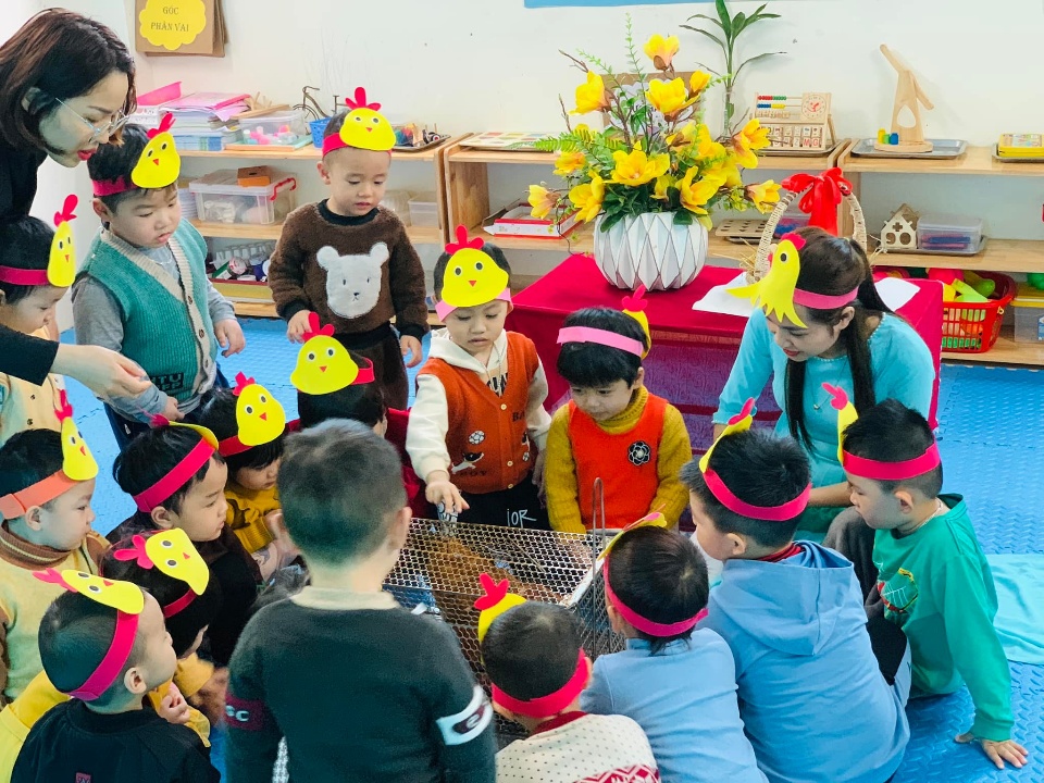 Chương trình tiếng Anh