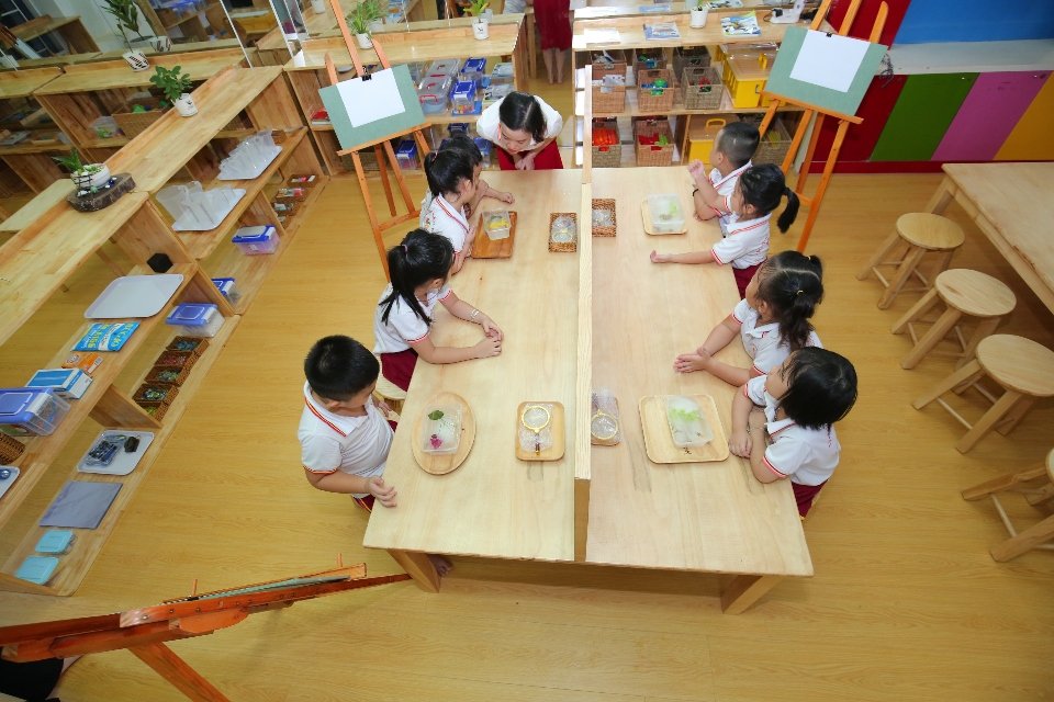 Chương trình tiếng Anh
