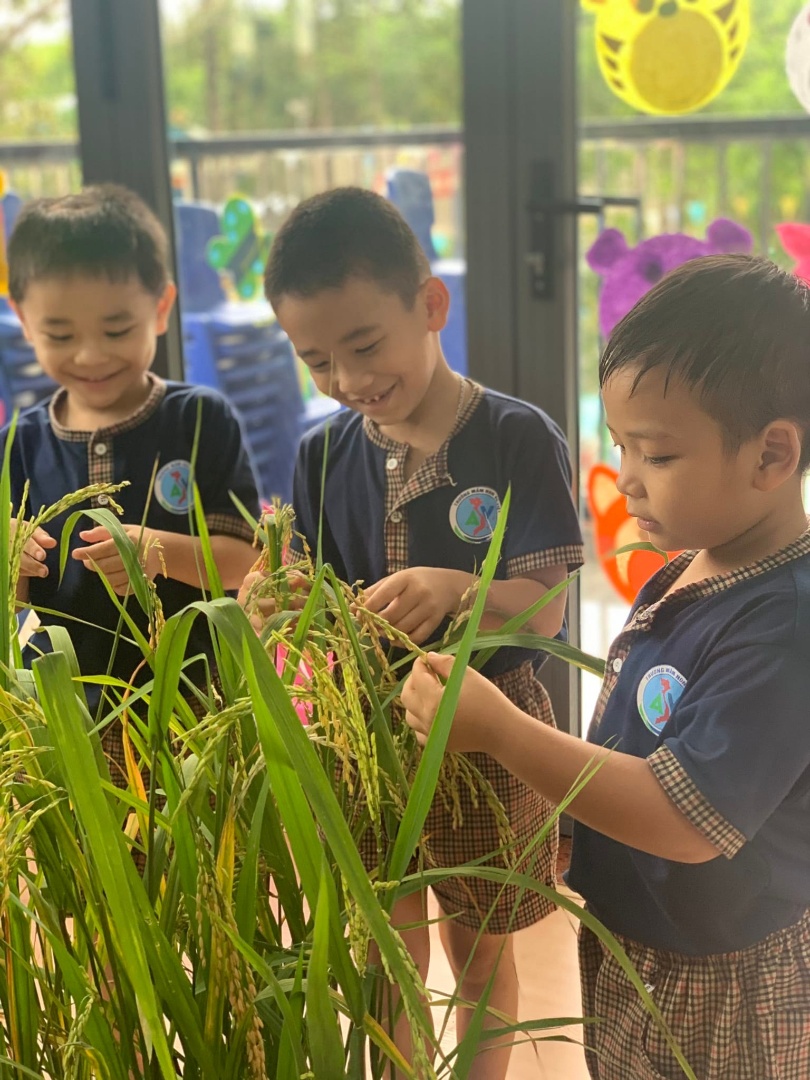 Chương trình tiếng Anh