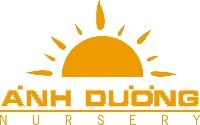 Trường Mầm Non Ánh Dương - Phường 9, Quận 3