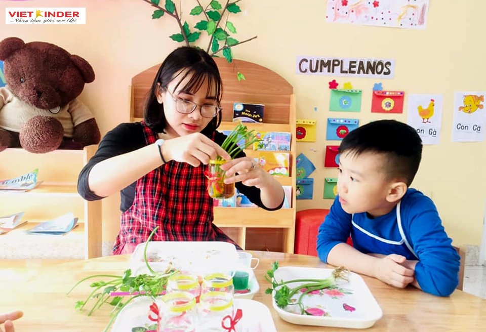 Chương trình tiếng Anh