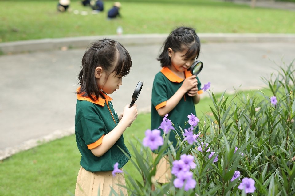 Chương trình tiếng Anh