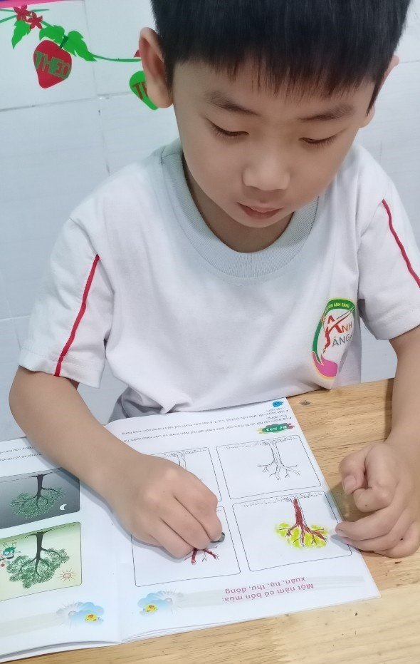Chương trình tiếng Anh