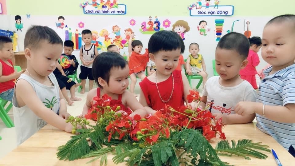 Chương trình tiếng Anh
