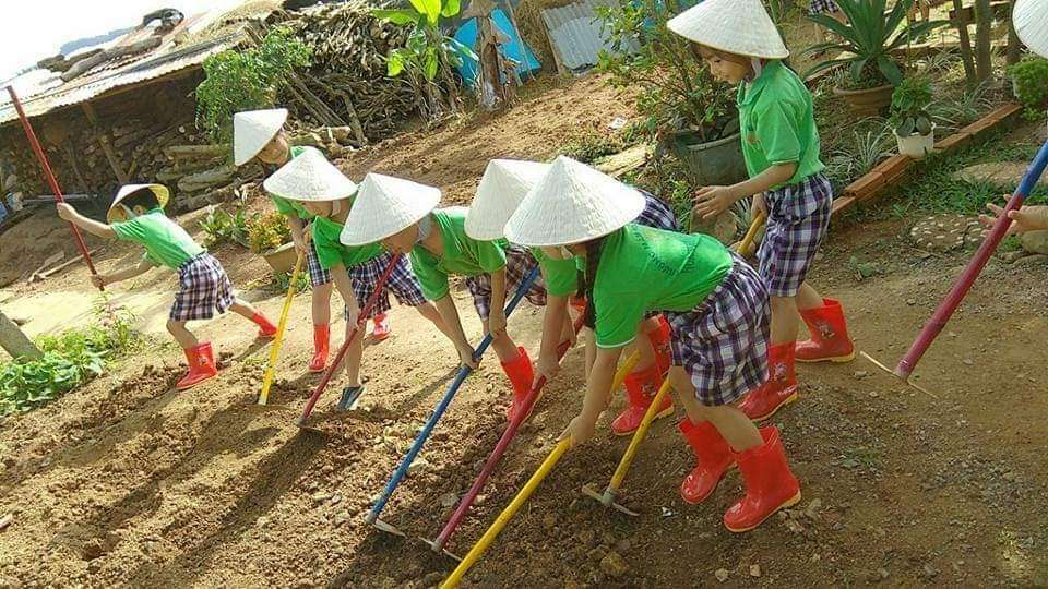 Chương trình tiếng Anh