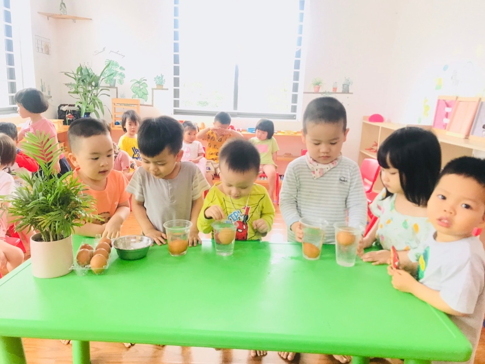 Chương trình tiếng Anh