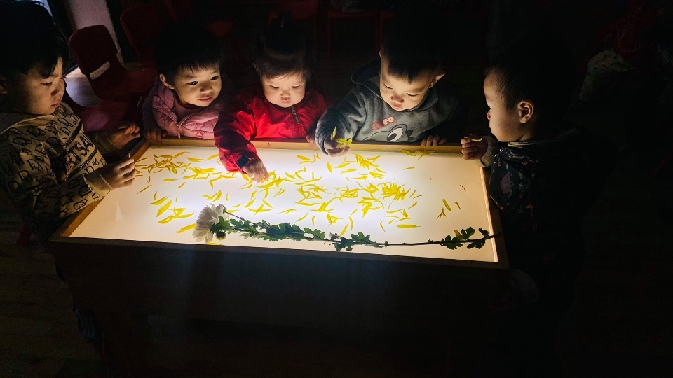 Chương trình tiếng Anh