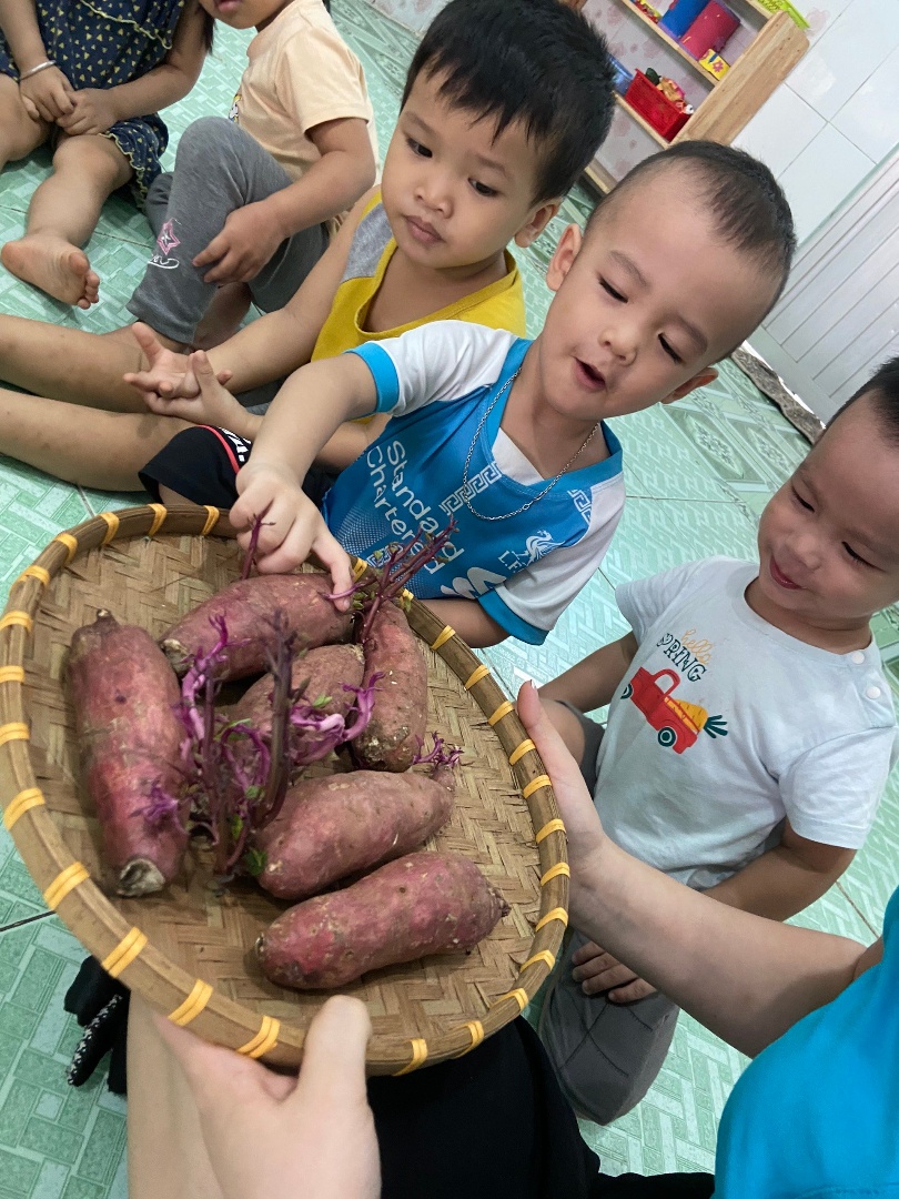 Chương trình tiếng Anh